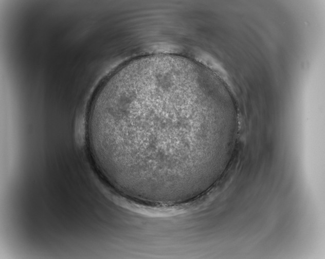 X0000098070012200804110931