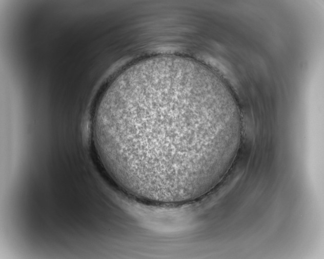 X0000098070016200804110931