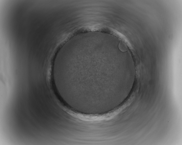 X0000098070018200804110931