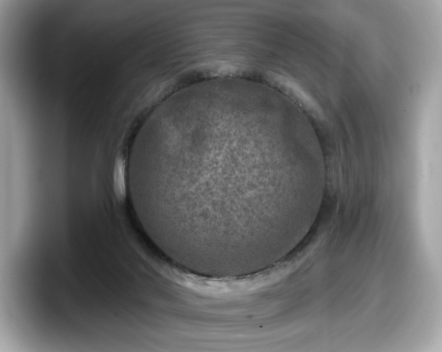 X0000098070022200804110931