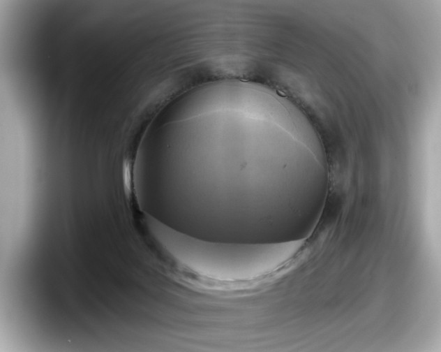 X0000098070027200804110931