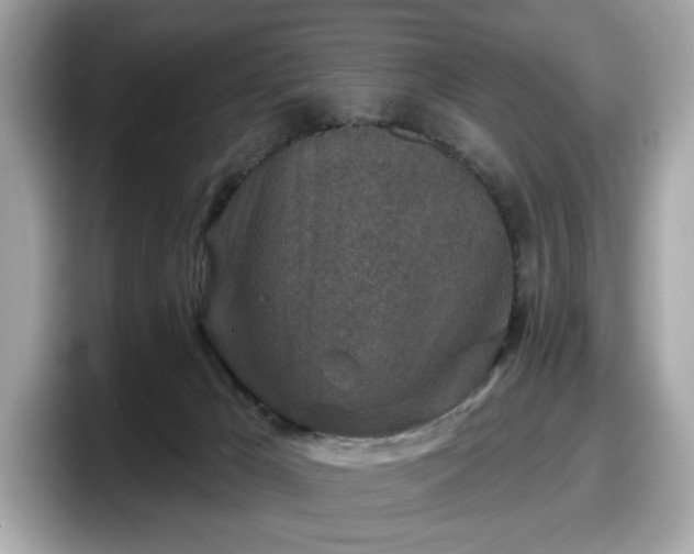 X0000098070029200804110931