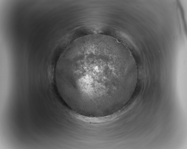 X0000098070030200804110931