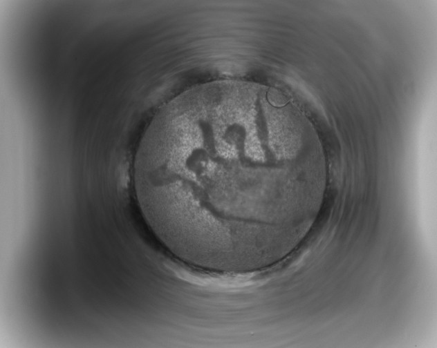 X0000098070032200804110931