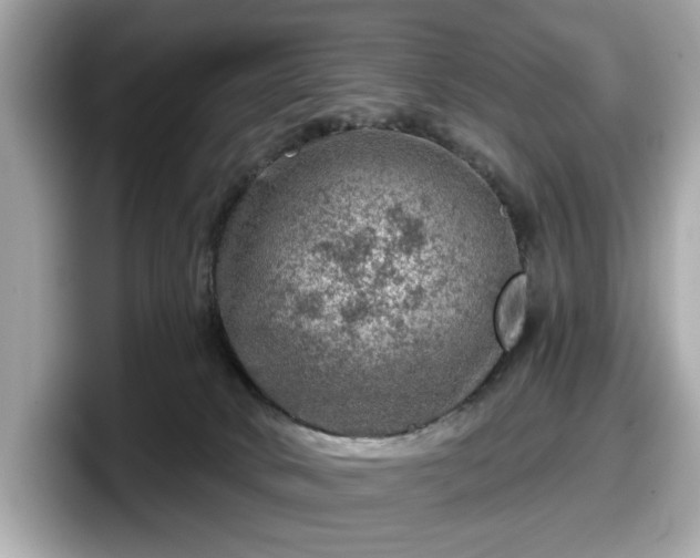 X0000098070034200804110931