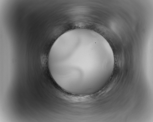 X0000098070036200804110931