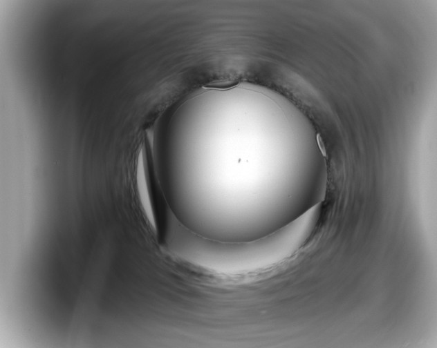 X0000098070037200804110931