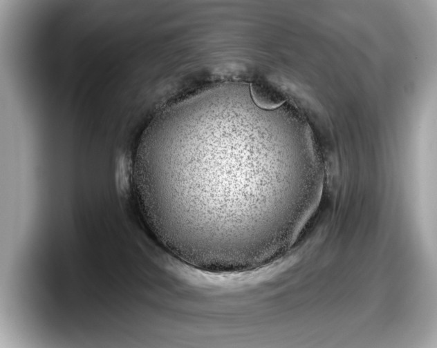 X0000098070038200804110931