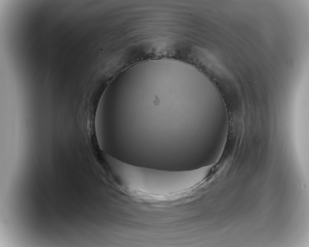 X0000098070039200804110931