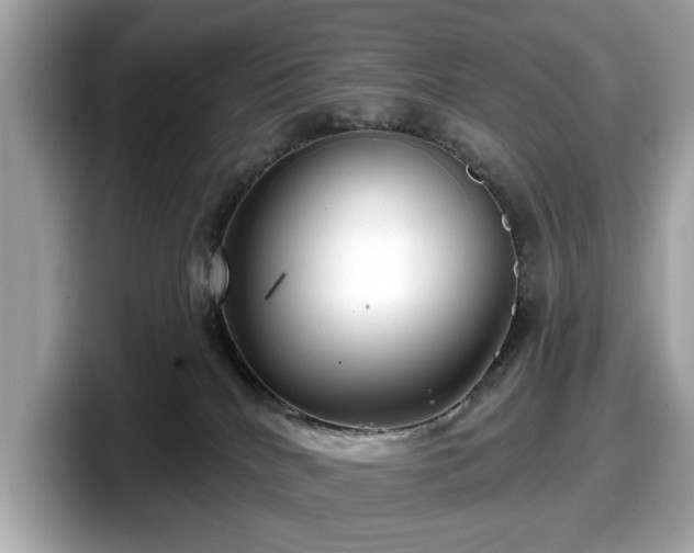 X0000098070040200804110931