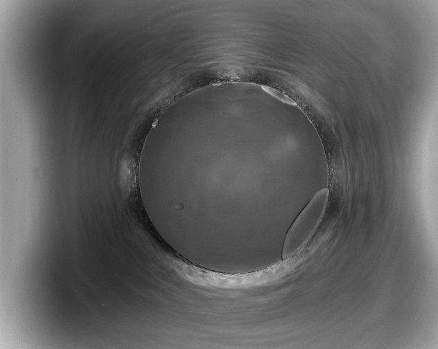 X0000098070043200804110931