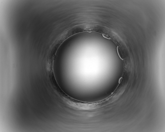 X0000098070044200804110931