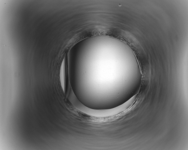 X0000098070045200804110931