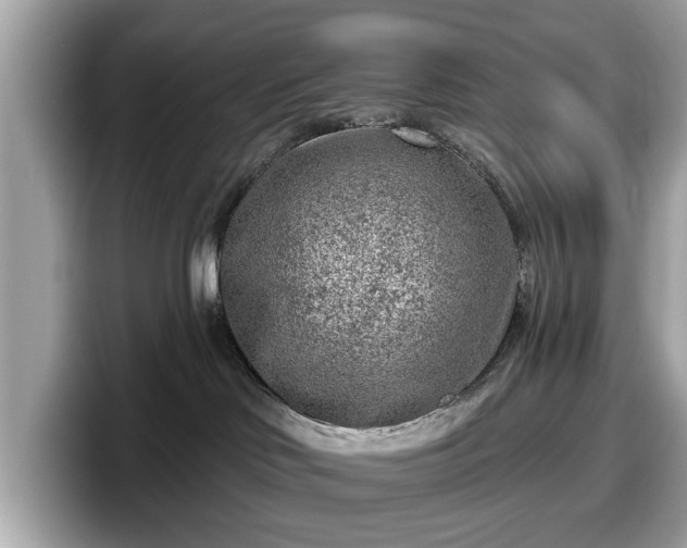 X0000098070046200804110931