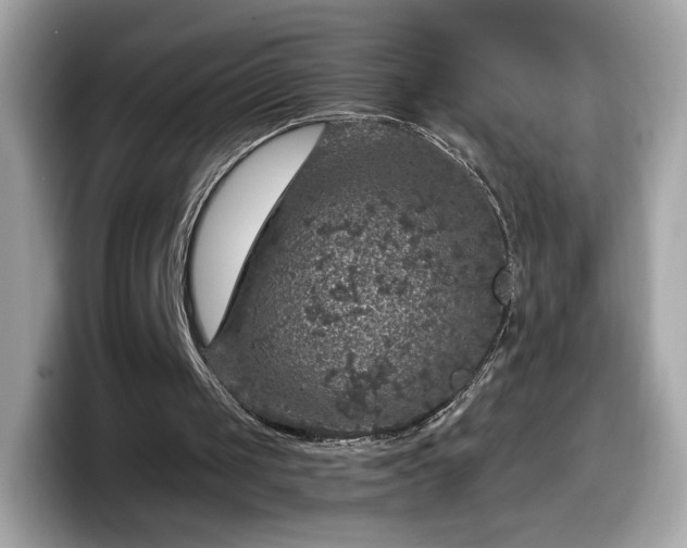 X0000098070049200804110930