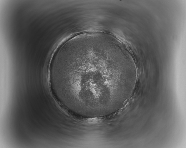 X0000098070050200804110930