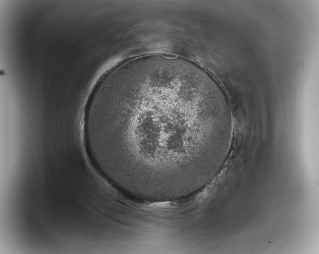 X0000098070054200804110930