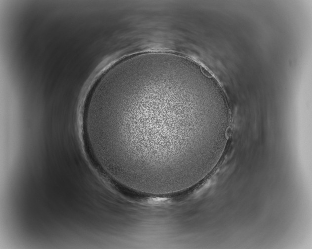 X0000098070055200804110930