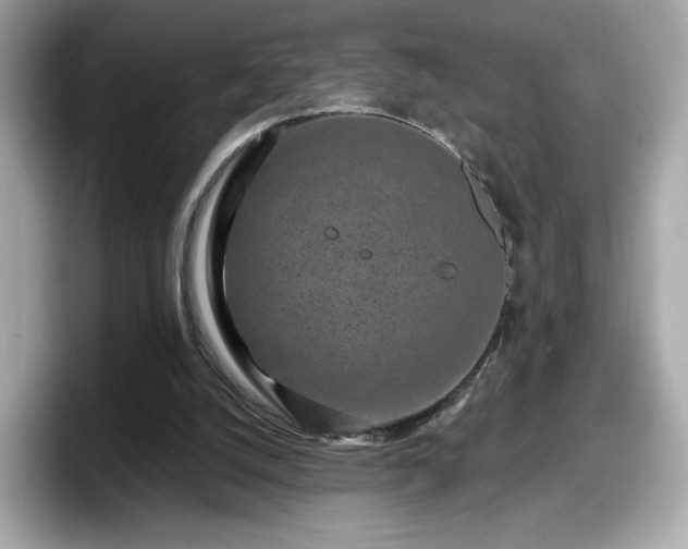 X0000098070056200804110930