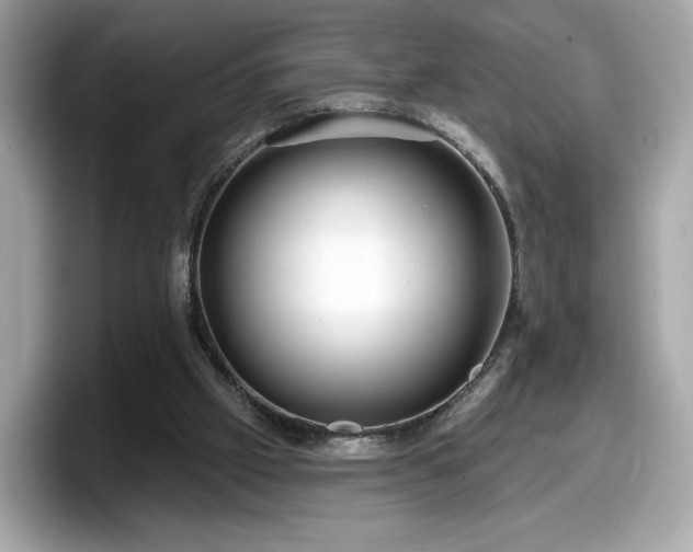 X0000098070057200804110930