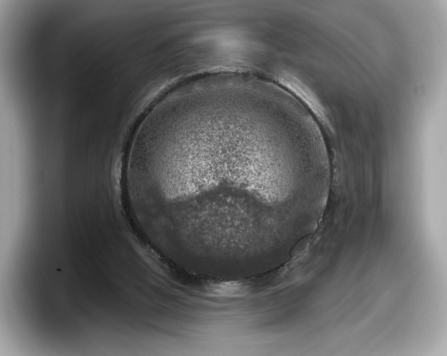 X0000098070058200804110930