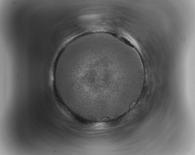 X0000098070059200804110930