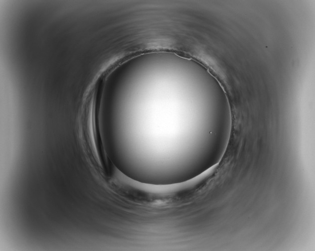 X0000098070060200804110930