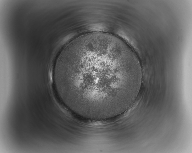 X0000098070062200804110931