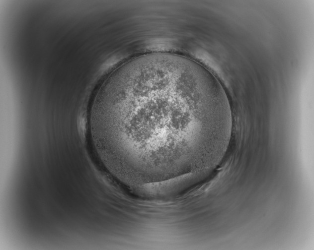 X0000098070063200804110931