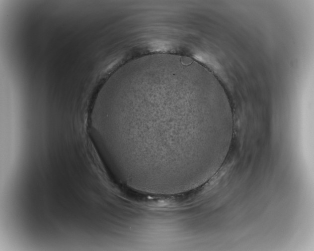 X0000098070066200804110931