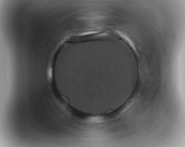 X0000098070067200804110931