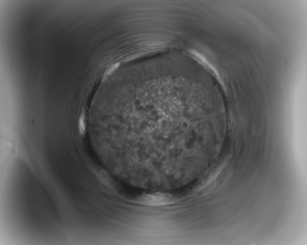 X0000098070069200804110931