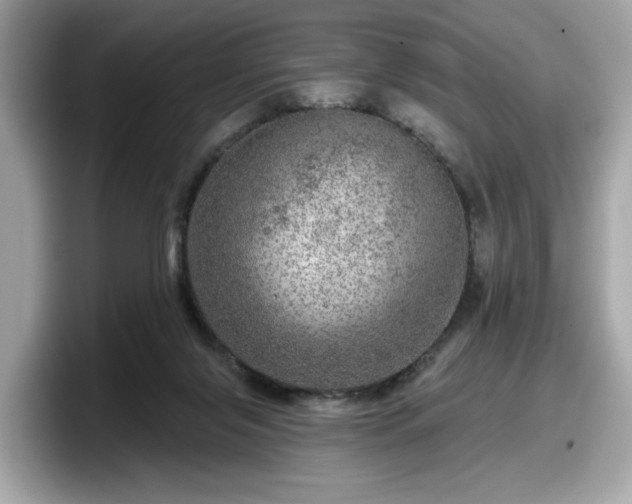 X0000098070071200804110931