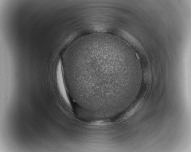 X0000098070072200804110931