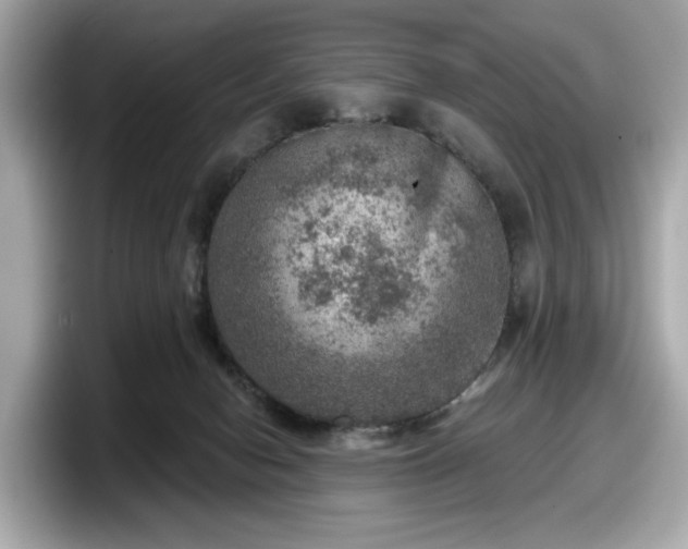 X0000098070078200804110931