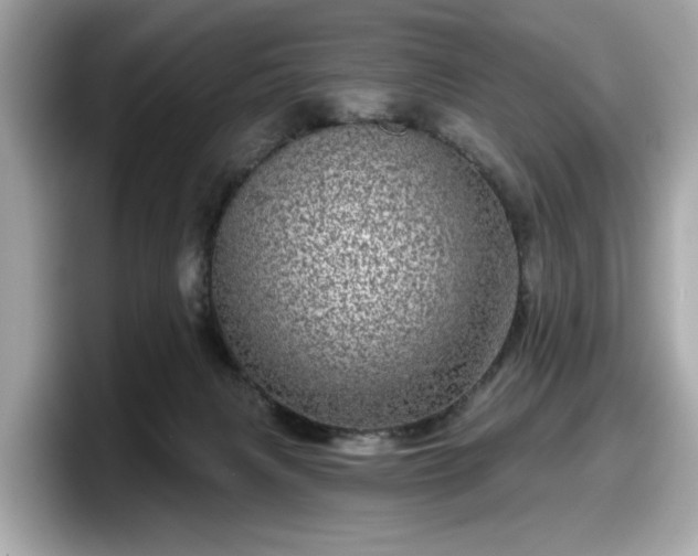 X0000098070079200804110931