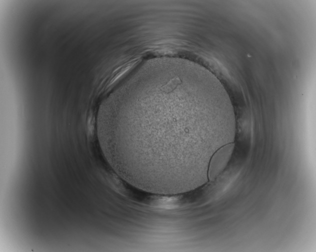 X0000098070081200804110931