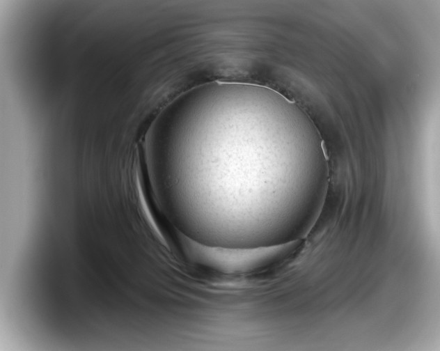 X0000098070084200804110931