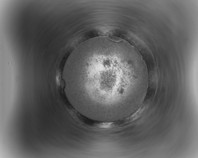 X0000098070090200804110931