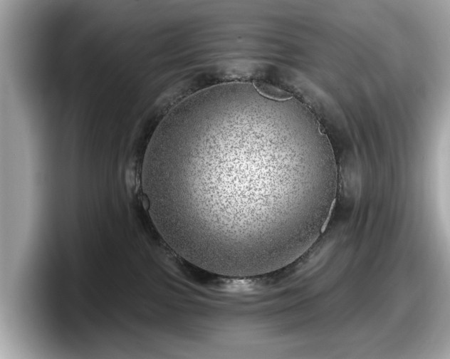 X0000098070091200804110931