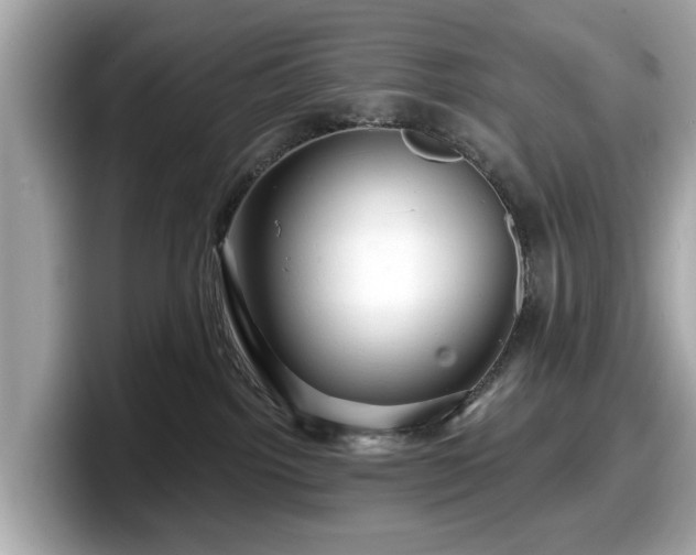 X0000098070092200804110931