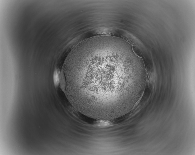 X0000098070095200804110931