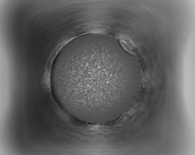 X0000098070098200804110930