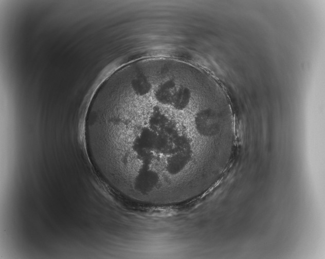 X0000098070099200804110930