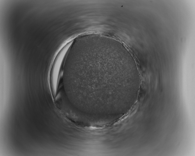 X0000098070100200804110930