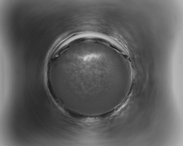 X0000098070101200804110930