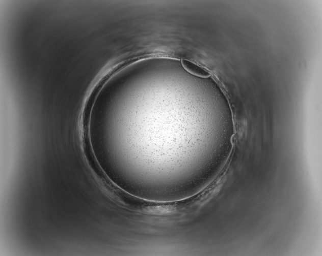 X0000098070102200804110930