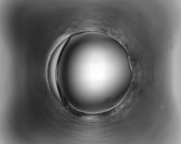 X0000098070104200804110930