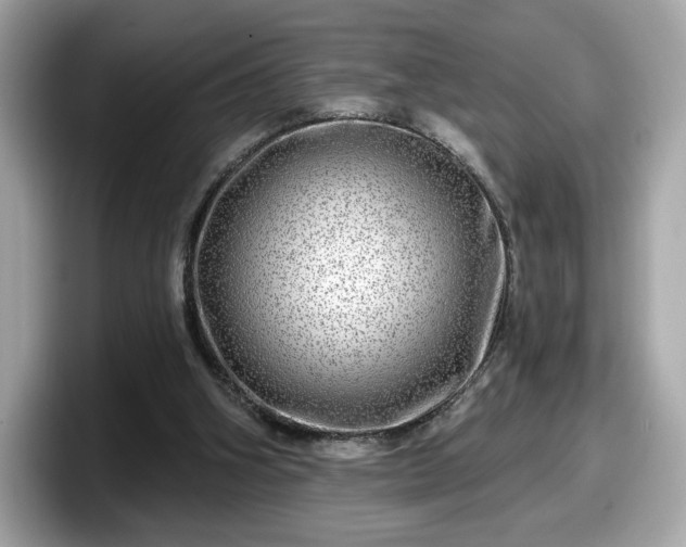 X0000098070106200804110930