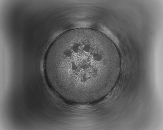 X0000098070107200804110930